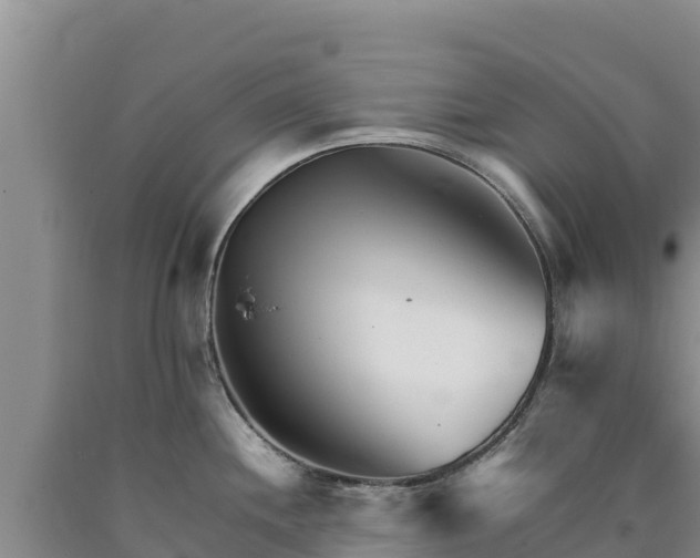 X0000090721244200707271146