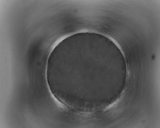 X0000090721245200707271146