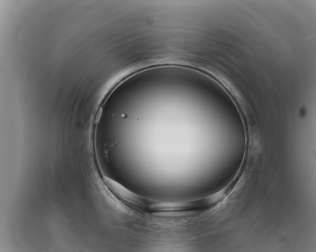 X0000090721246200707271146