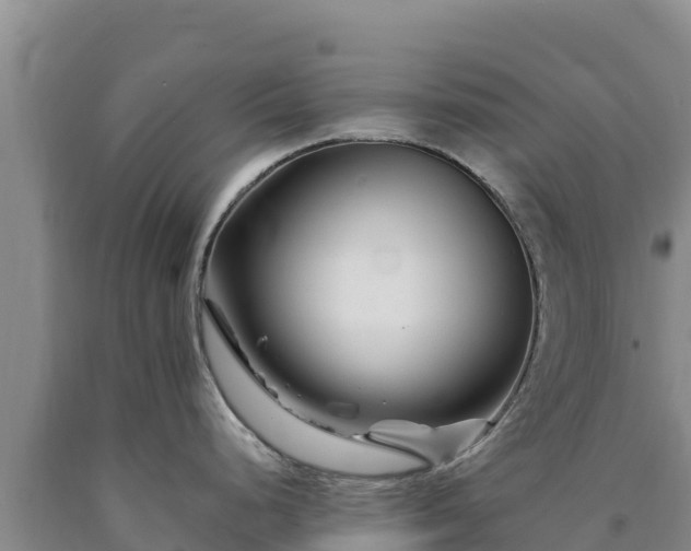 X0000090721248200707271146