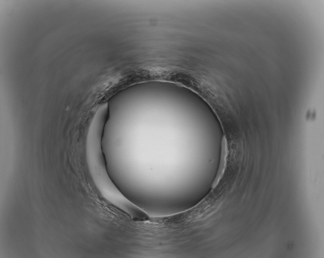 X0000090721249200707271145