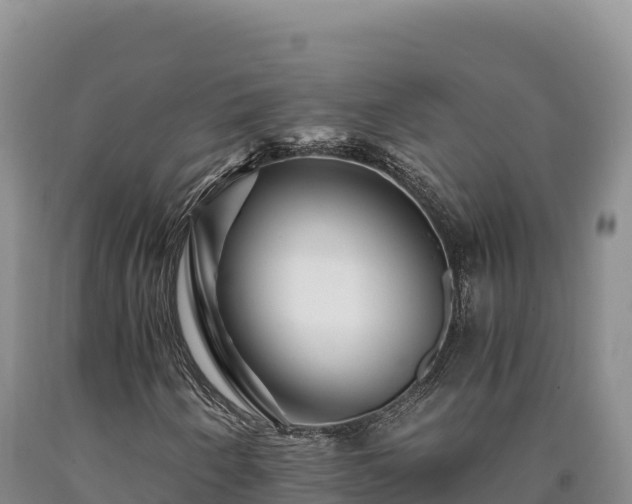 X0000090721250200707271145
