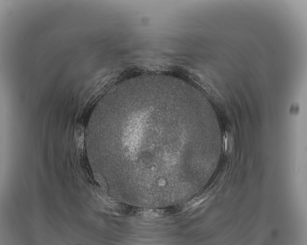 X0000090721251200707271145