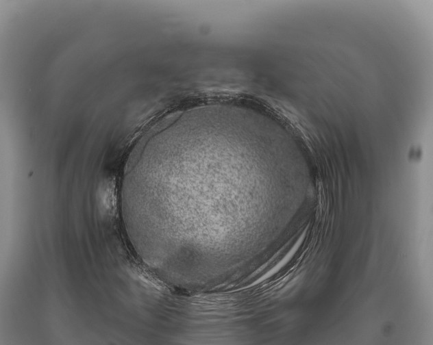 X0000090721252200707271145