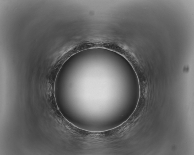 X0000090721253200707271145