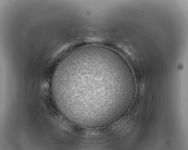 X0000090721254200707271145
