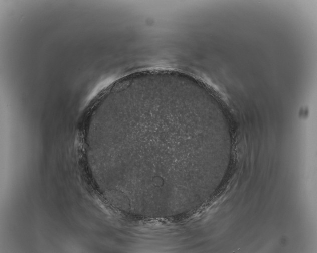 X0000090721255200707271145