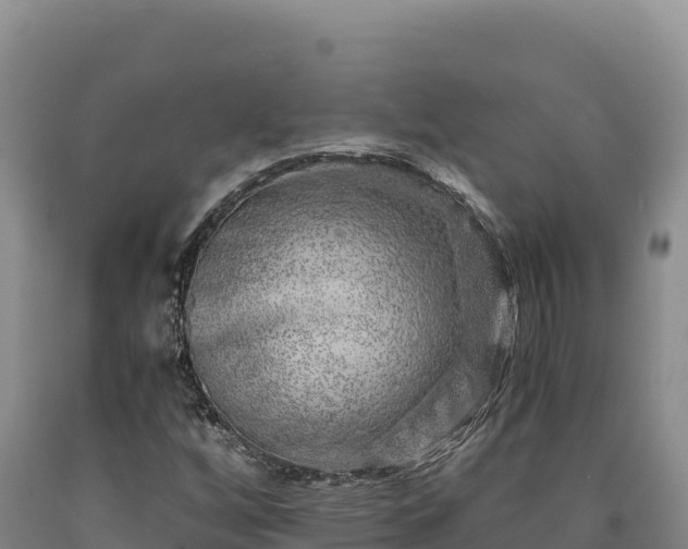 X0000090721256200707271145