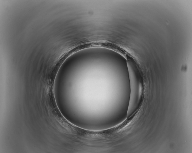 X0000090721257200707271145