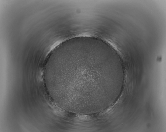 X0000090721258200707271145