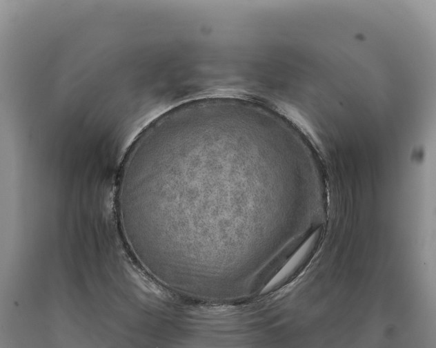 X0000090721260200707271145