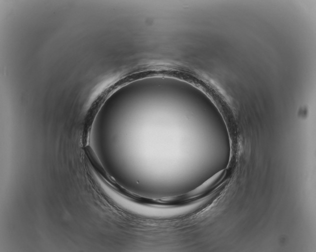 X0000090721261200707271145