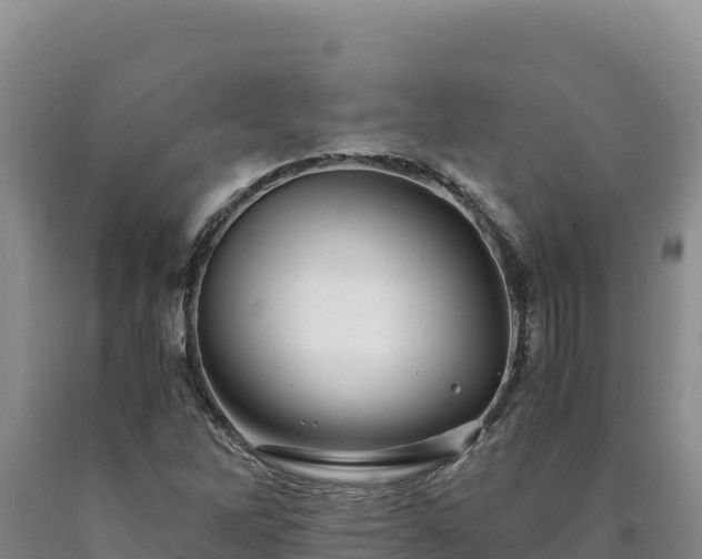 X0000090721262200707271145