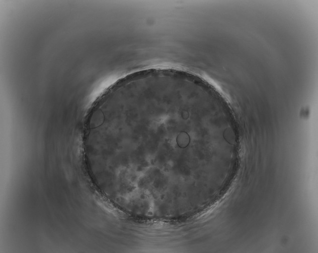 X0000090721263200707271145