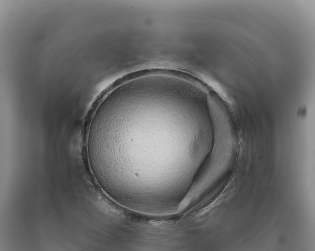 X0000090721264200707271145