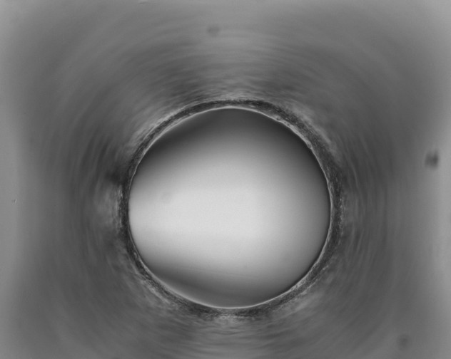 X0000090721265200707271145