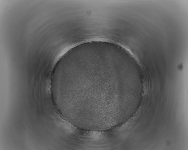 X0000090721266200707271145
