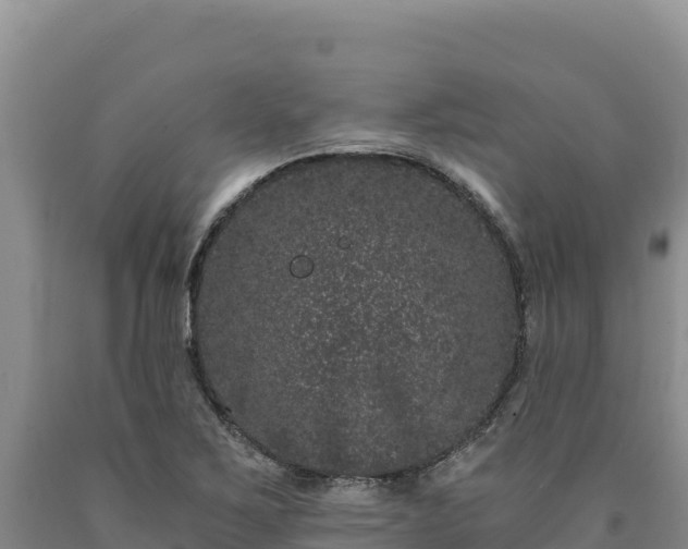X0000090721267200707271145