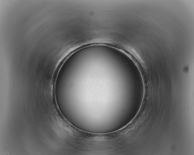 X0000090721268200707271145