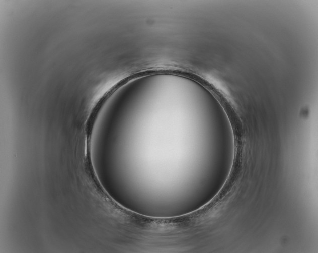 X0000090721269200707271145