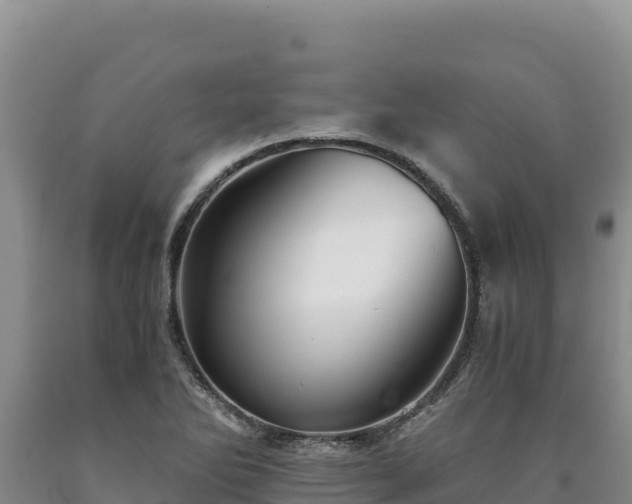 X0000090721270200707271145