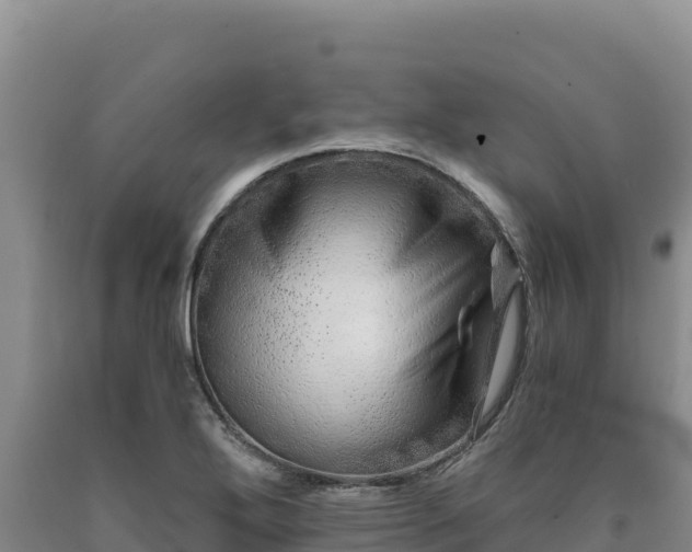 X0000090721272200707271145
