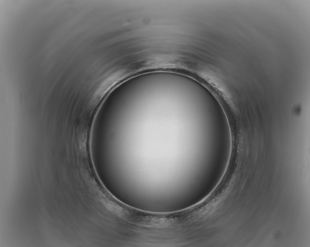X0000090721273200707271145