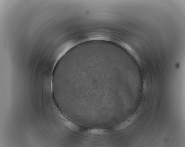 X0000090721274200707271145