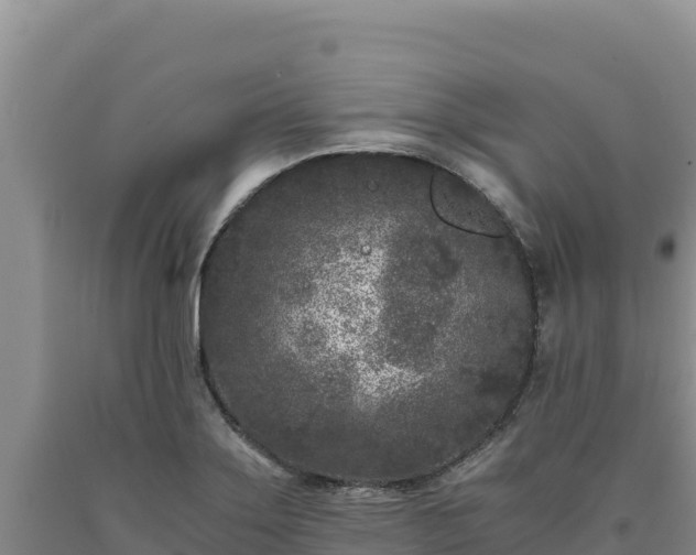 X0000090721275200707271145