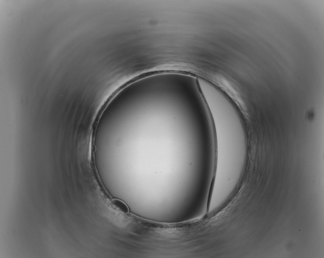 X0000090721276200707271145