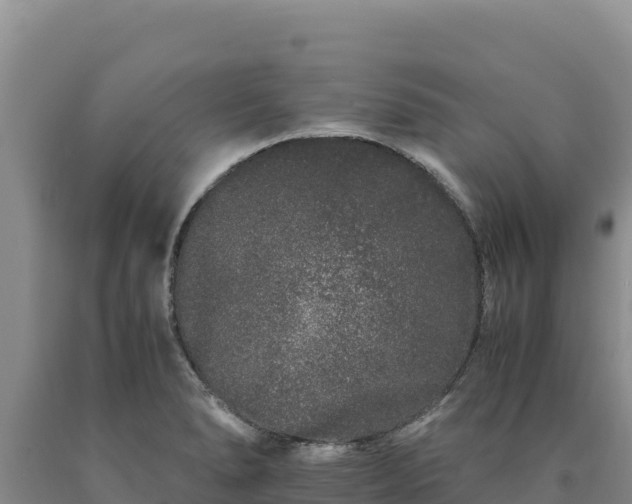 X0000090721278200707271145