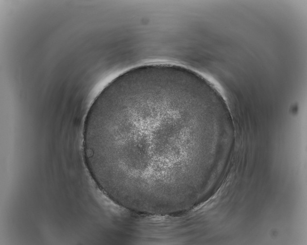 X0000090721279200707271145