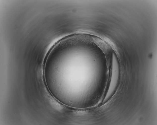 X0000090721280200707271145