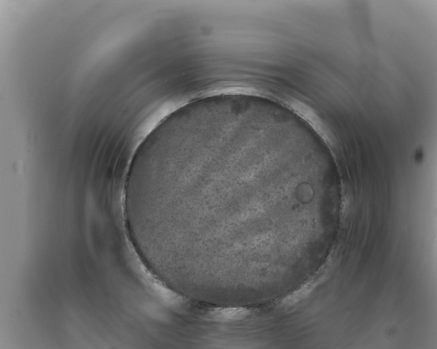 X0000090721282200707271145