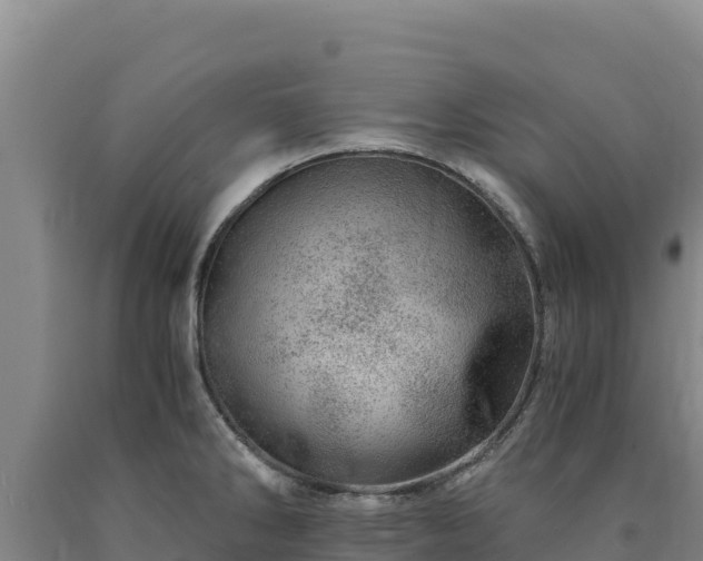 X0000090721286200707271145