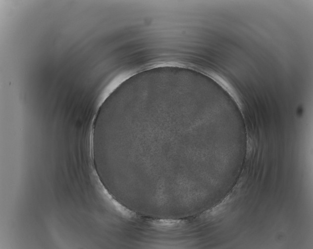 X0000090721290200707271145