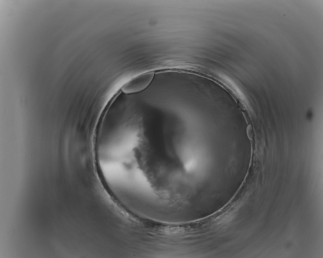 X0000090721291200707271145