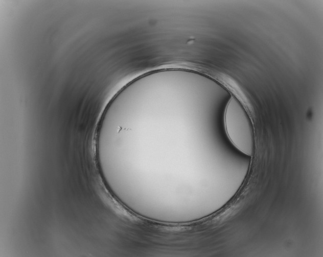 X0000090721292200707271145
