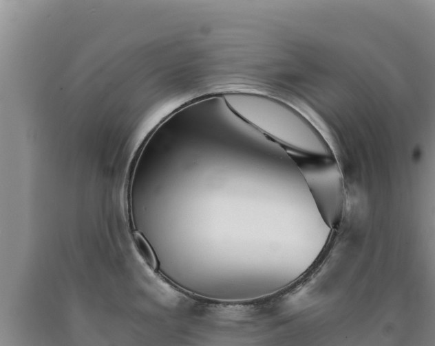 X0000090721293200707271145