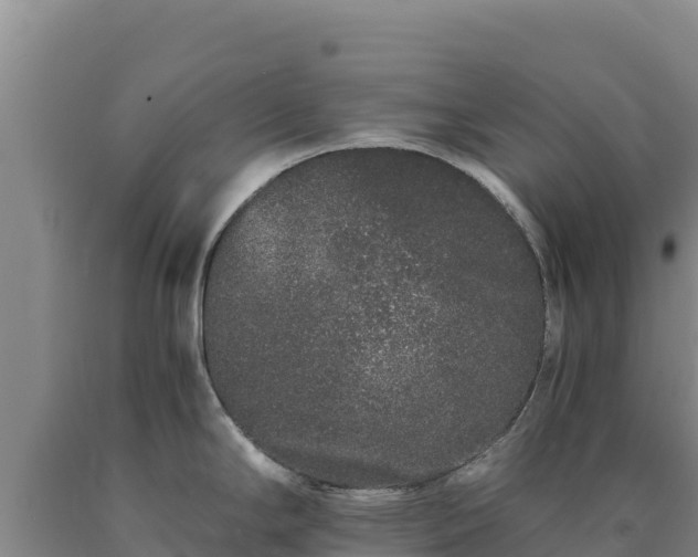 X0000090721294200707271145
