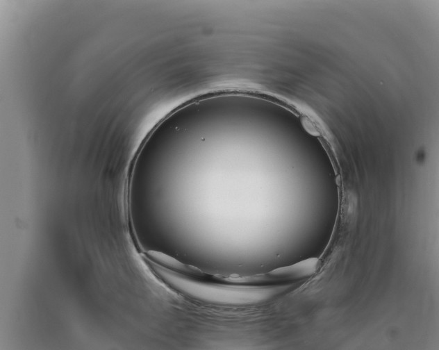 X0000090721295200707271145