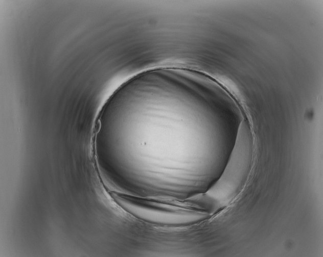 X0000090721296200707271145