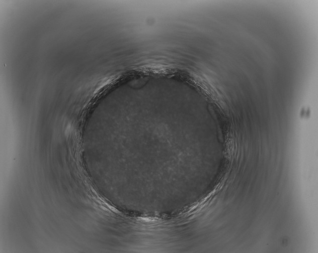 X0000090721297200707271144