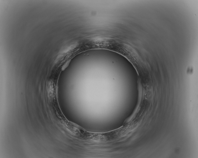 X0000090721298200707271144