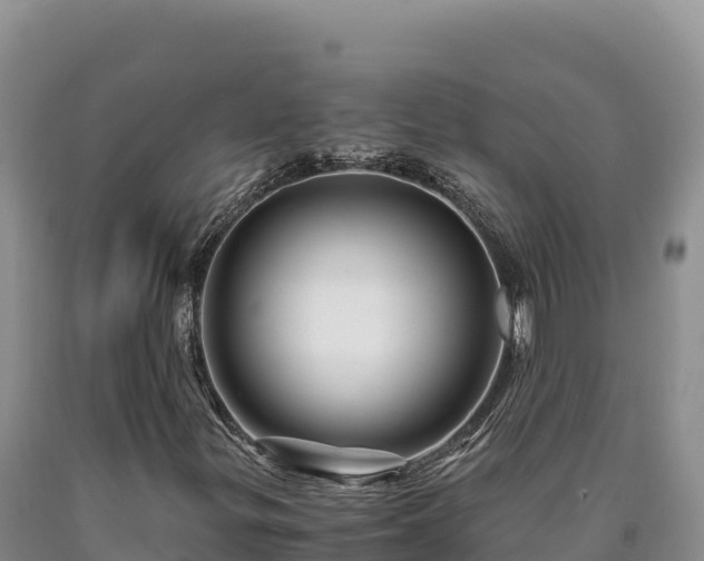 X0000090721299200707271144