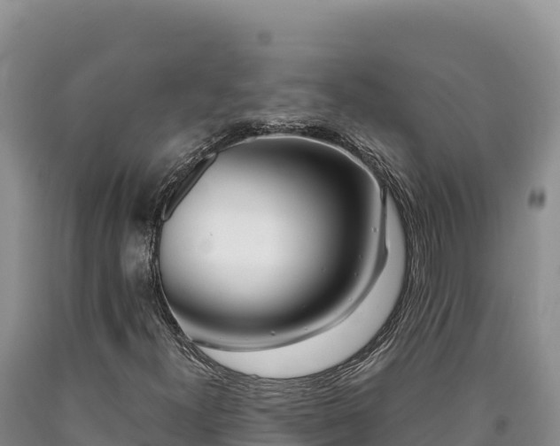 X0000090721300200707271144