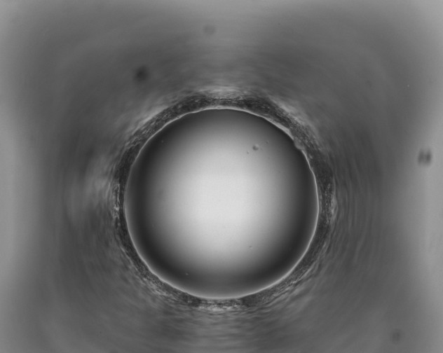 X0000090721301200707271144