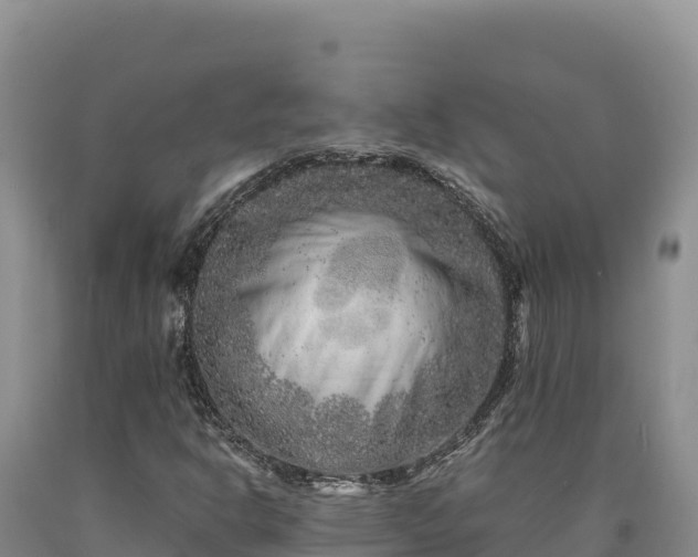 X0000090721302200707271144