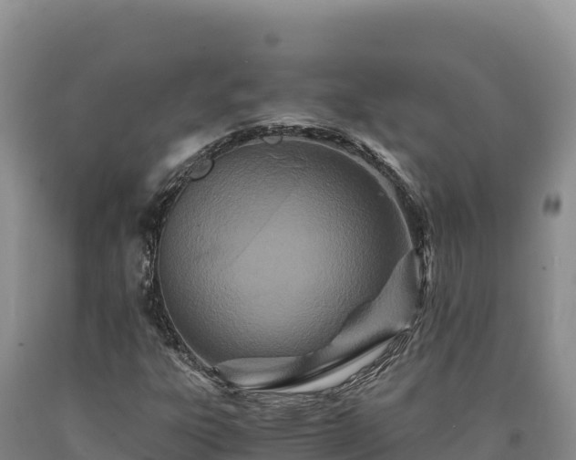 X0000090721303200707271144