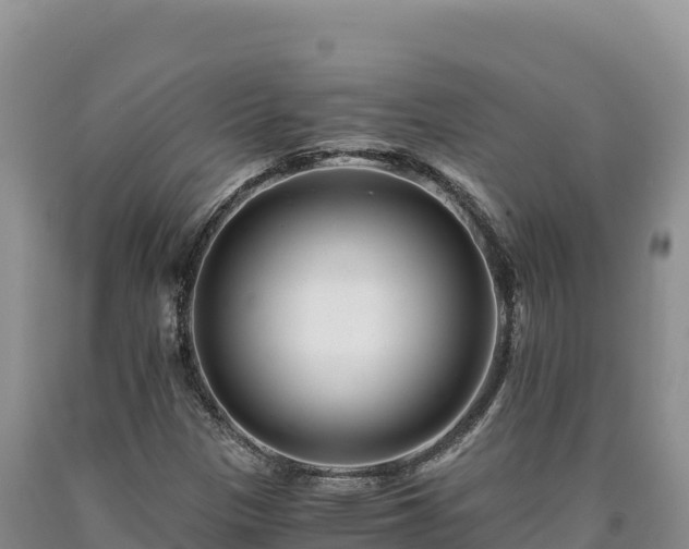 X0000090721305200707271144